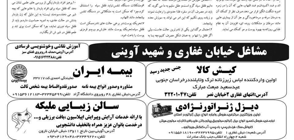 5 (Copy)